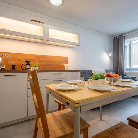 Spacious Slope Front Ski-in And Out *